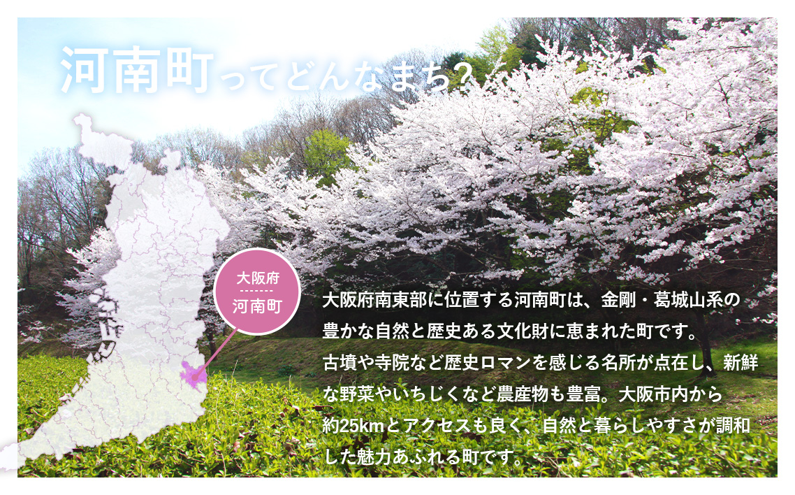 無添加おせちセット