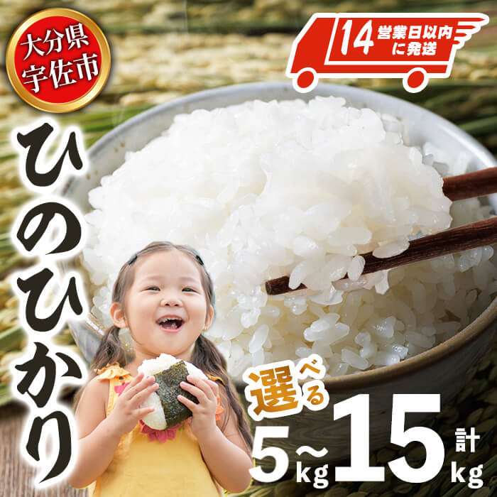 【ふるさと納税】宇佐市産ヒノヒカリ(計5kg～15kg) ＜内容量が選べる！＞＜北海道 沖縄 離島配送不可＞米 お米 ヒノヒカリ ひのひかり 白米 ご飯 大分県産 5kg 10kg【119000400・119000500・119000600】【カネガエ】
