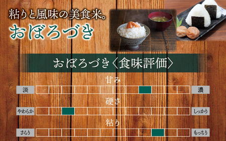 玄米 おぼろづき 新米 30kg/ 白米 玄米 ごはん こめ 北海道米 ※10月～順次発送 【kja400-obo-g30-R7】