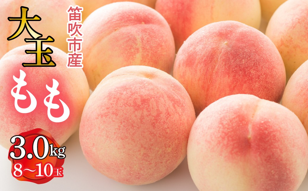 
            【2026年発送★先行予約】笛吹市産　大玉もも　3.0kg(8～10玉)  227-009-26y
          