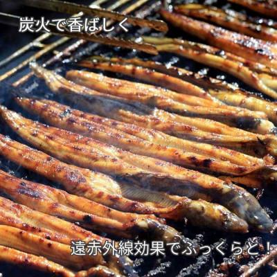 ふるさと納税 備前市 鈴木鮮魚 訳あり 国産 炭火焼き穴子 300g 5〜11本入 小タレ付 3〜4人前 |  | 03