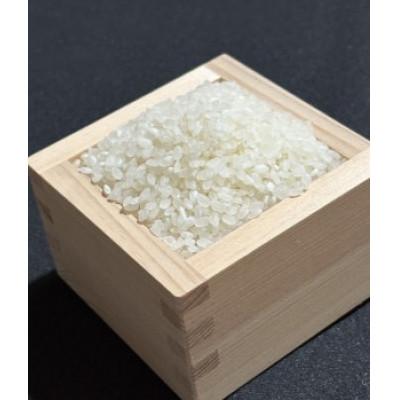 ふるさと納税 君津市 君津市小山野産「山名郷米」コシヒカリ(無洗米)10kg |  | 01