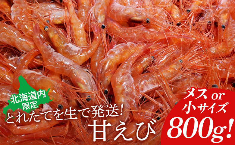 【北海道内限定】とれたてを生で発送! 甘えび800g（メスor小サイズ）【06015】