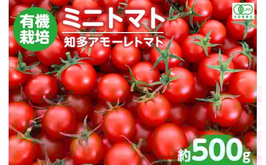 有機栽培ミニトマト　知多アモーレトマト　約500g／ とまと 野菜 高糖度 愛知県 特産品