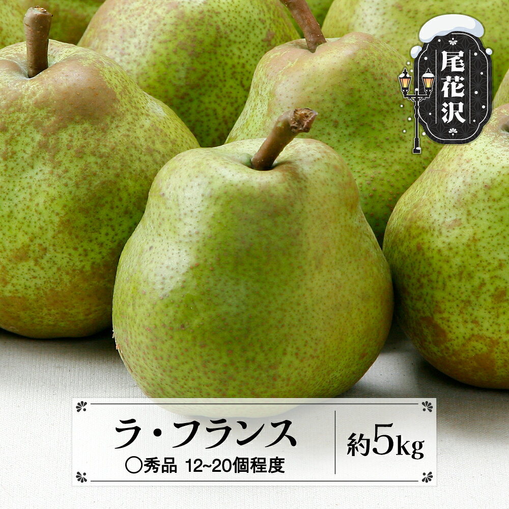 【ふるさと納税】先行予約 ラ・フランス ◯秀品 約5kg (12~20個程度) 11月中旬~12月中旬頃発送 山形県産 フルーツ 果物 くだもの 西洋梨 洋梨 梨 ラフランス 2026年産 令和8年産 佐竹物産 sb-lamsx5-b※沖縄・離島への配送不可