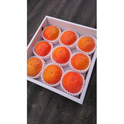 ふるさと納税 橋本市 国城観光農園の富有柿9個入り(2Lサイズ)
