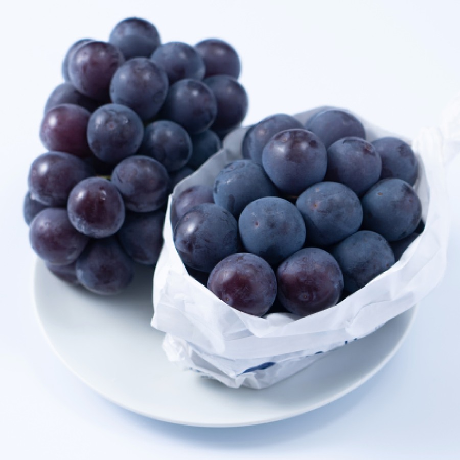 ＜福岡八女産黒木＞巨峰１ｋｇ