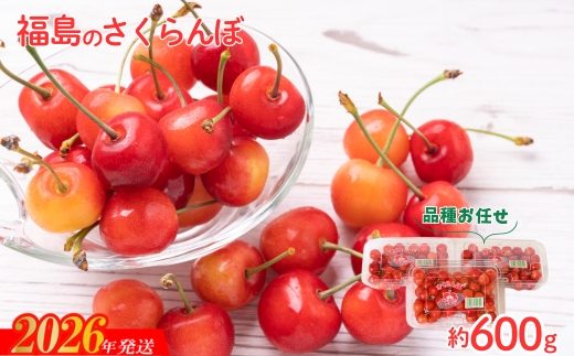 No.2094さくらんぼ 品種お任せ 秀　L玉　約600ｇ（200ｇ×3パック）【2026年発送】