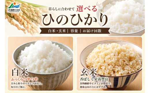 【6回定期便】【ふるさと納税】ひのひかり 米 お米  玄米  20kg 20キロ 福岡県産 うきは市 国産 精米 ご飯 ごはん おにぎり お弁当 人気 おすすめ 家庭用 送料無料 令和7年度産 ストッ