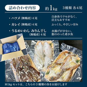 訳あり 干物 約1kg （3種類） 舞鶴産 お試し 干物 セット 
