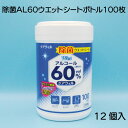 【ふるさと納税】ケアウィル　除菌 AL60 ウエットシート ボトル 100枚 × 12個