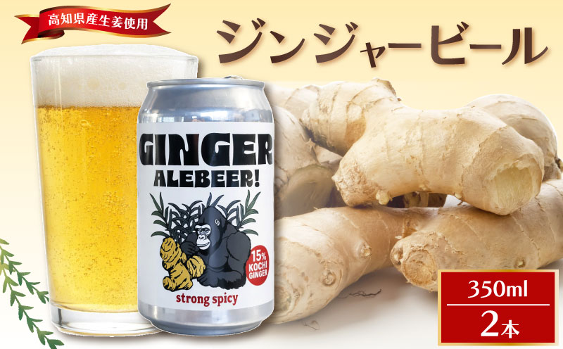 ジンジャービール 350ml 2本セット 生姜 缶ビール エールビール 2本セット