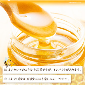 生駒で採れたはちみつ「生駒百花」 500g 蜂蜜 生はちみつ デザート スイーツ 生駒で採れたはちみつ 生駒百花 500g 蜂 蜜 甘味料 ミツバチ 非加熱 非調合 上品 ギフト 贈り物 プレゼント 