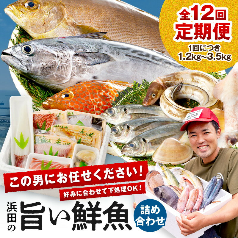 【ふるさと納税】【レビューCP対象】【定期便】この男、極める！〜浜田の旨い鮮魚12か月毎月お届けコース〜 ふるさと納税 定期便 鮮魚 魚介類 魚貝類 お楽しみ定期便 【006_0543】