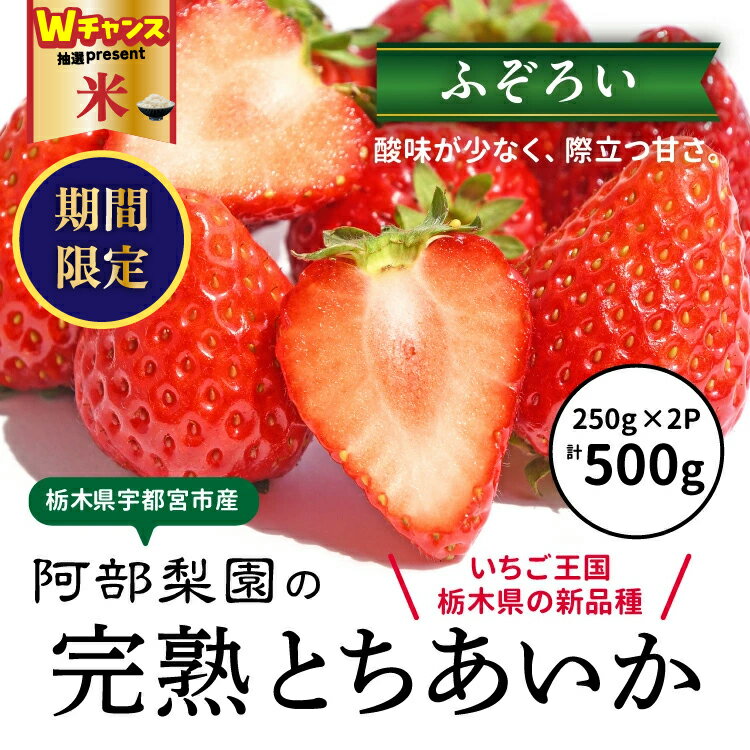 【ふるさと納税】＼9末まで 寄附額改定／阿部梨園の完熟とちあいか（ふぞろい） ※離島への配送不可 ※2025年12月上旬～2026年5月中旬頃に順次発送予定