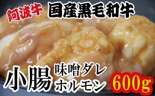ホルモン 小腸 阿波牛 味噌漬け 200g×3パック 小分け 計600g  国産 牛 黒毛和牛 鍋 焼肉 脂 焼き ホソ もつ 肉 牛肉 BBQ 【北海道・東北・沖縄・離島への配送不可】