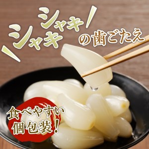 食べきりサイズ 色白美人らっきょう 国産無添加 80g×6袋　ラッキョウ 食べきりサイズ 480g おつまみ ご飯のおとも お酒のお供 野菜 旬 漬物 つけもの お漬物 常温保存 山梨県 北杜市 [h