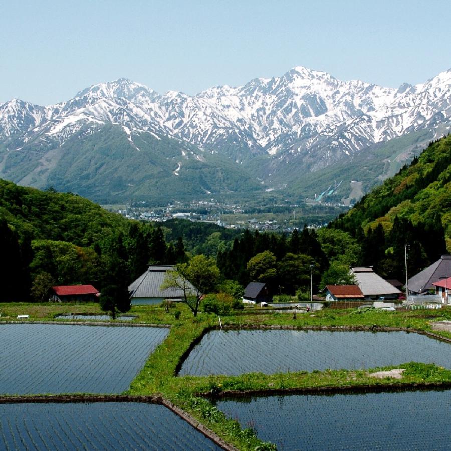 ふるさと納税 白馬村 【毎月定期便】【3ヶ月連続お届け】長野県白馬村産ミルキークイーン 精米 10kg全3回 |  | 03