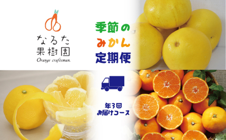 【定期便3回】なるた果樹園 みかん 定期便 C 土佐文旦 小夏 温州みかん ぶんたん 文旦 果物 フルーツ 3回 季節 高知 宿毛 みかん ジャム マーマレード みかん