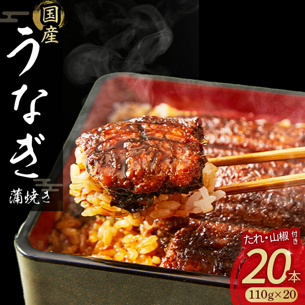 【ふるさと納税】 うなぎ蒲焼き20本セット 名店 食べ方 調理済み うな重 ひつまぶし 鰻 うなぎ 鰻蒲焼き タレ付き 山椒付き ギフト(お歳暮/お正月)高級　お取り寄せ グルメ Esu-118