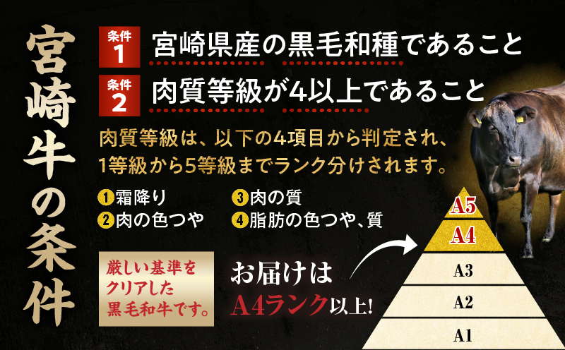 宮崎牛霜降り（肩ロース）スライス1kg_Tk031-014s-01