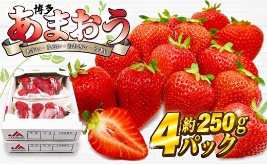 
                  【2026年12月発送】博多あまおう4パック 約1kg[H2261]
                