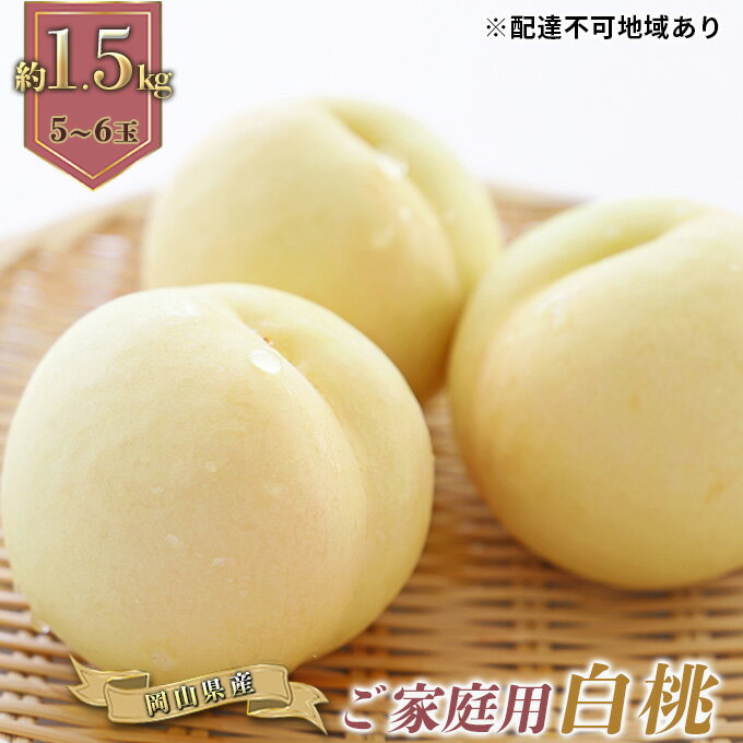 【ふるさと納税】桃 2026年 先行予約 ご家庭用 白桃（晩生種）5～6玉 合計約1.5kg もも モモ 岡山県産 国産 フルーツ 果物 ギフト　お届け：2026年8月上旬～2026年8月下旬