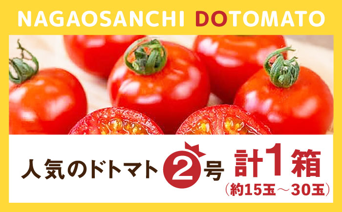 【酸味と甘みのバランスがド級】人気のドトマト2号1箱 / トマト とまと サラダ 野菜 / 佐賀県 / 永尾産ち [41AAAC003]