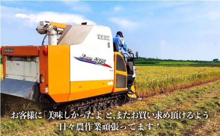 【令和7年8月以降発送】【全4回定期便】新米4種 食べ比べ！ 各回5kg /新米 米 お米 白米 ごはん ご飯 九州 [IAS012]