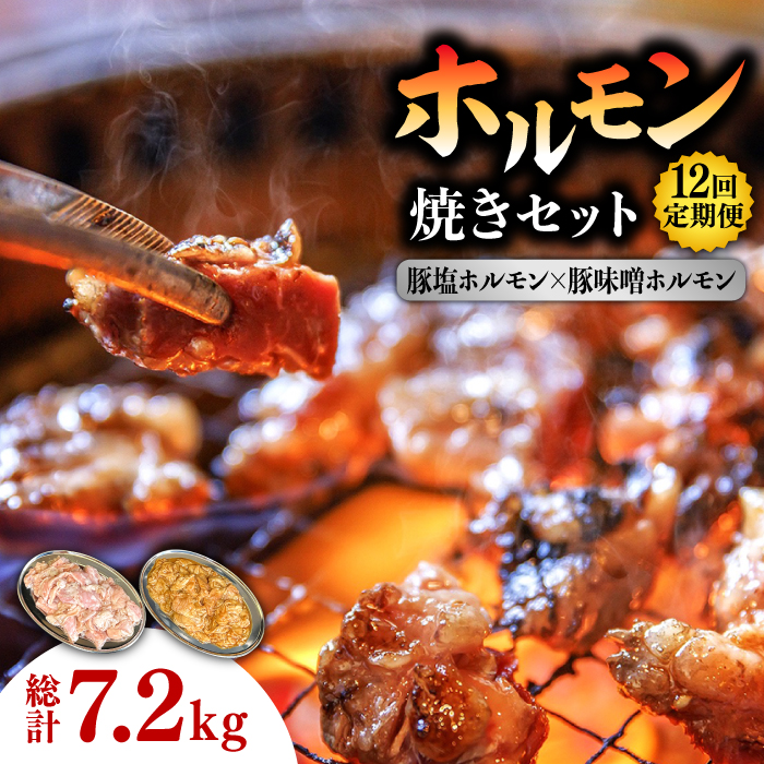 【12回 定期便 】ホルモン 塩焼き・ニンニク味噌焼きセット 総計7.2kg / 肉 豚肉 直腸 豚テッポウ 希少部位 国産 / 南島原市 / はなぶさ [SCN139]