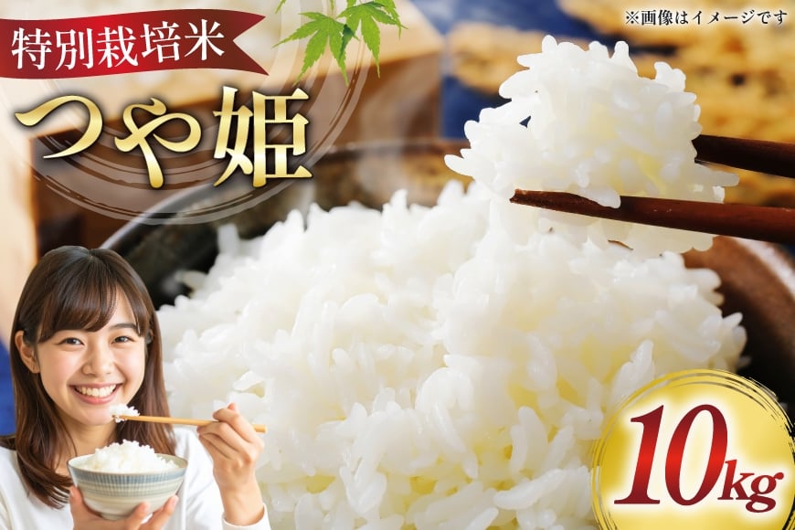 
                  米 令和7年 特別栽培米 つや姫 10kg [はまえん 山形県 高畠町 tk06ayt030005] 10キロ お米 ブランド米 ごはん ご飯 白米 精米 こめ
                