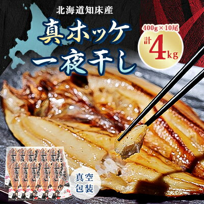 【ふるさと納税】【2024年6月から順次発送】知床産真ホッケ一夜干し400g×10尾セット　漁師の特製手作り干物【配送不可地域：離島・沖縄県】【1327500】