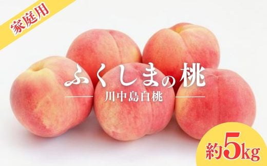 
No.2156福島のもも　家庭用 川中島白桃　約5kg【2025年 先行予約】
