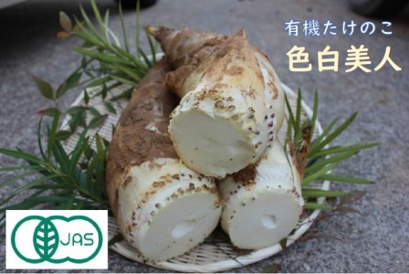 【先行予約】たけのこ有機JAS認証 白子たけのこ 「色白美人」4kg たけのこ 有機たけのこ 筍 037008