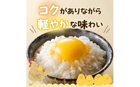 むらかみ農園の赤玉たまご60個_Y140-0002
