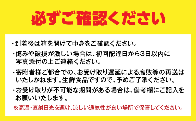 【1週間以内発送】ゴトウさんの 宮崎 完熟 きんかん 約550g(計35玉) 期間限定 フルーツ 果物 くだもの 金柑 柑橘 青果 キンカン 国産 食品 人気 おすすめ ギフト 贈り物 贈答 おすそ分