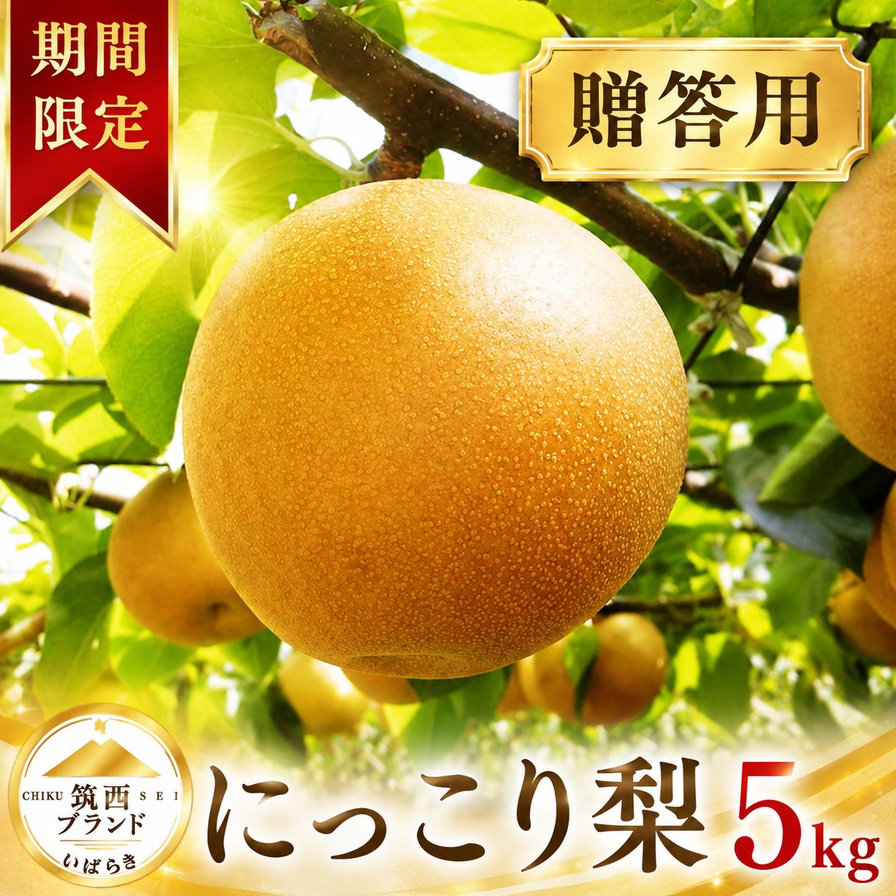 【ふるさと納税】 梨 にっこり 5kg 1箱 秀品 贈答用 なし ナシ 5キロ 旬の梨 和梨 果実 にっこり梨 甘み 甘い 品種 果肉 果汁 果物 くだもの デザート フルーツ おやつ 旬 夏 秋 2026年産 先行予約 おすすめ 期間限定 数量限定 特産品 茨城県産 JA 北つくば 関東 茨城 筑西