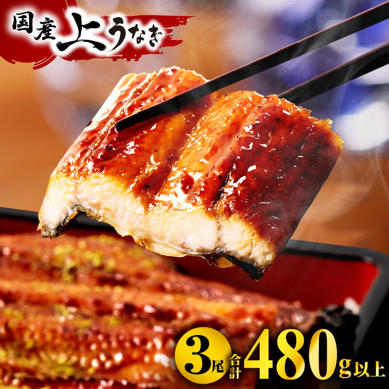 国産うなぎ蒲焼3尾(計480g以上) 国産うなぎの御結び付きで年内お届け