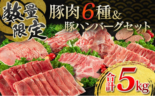 数量限定 豚肉 6種 豚ハンバーグ セット 合計5kg ポーク 国産 ミヤチク スライス 小間切れ 豚ウデ 豚モモ 豚バラ 豚ロース 万能食材 大容量 小分け おかず お弁当 おつまみ 食品 生姜焼き 炒め物 ご褒美 お祝い 記念日 お取り寄せ 詰め合わせ 送料無料_DC13-23