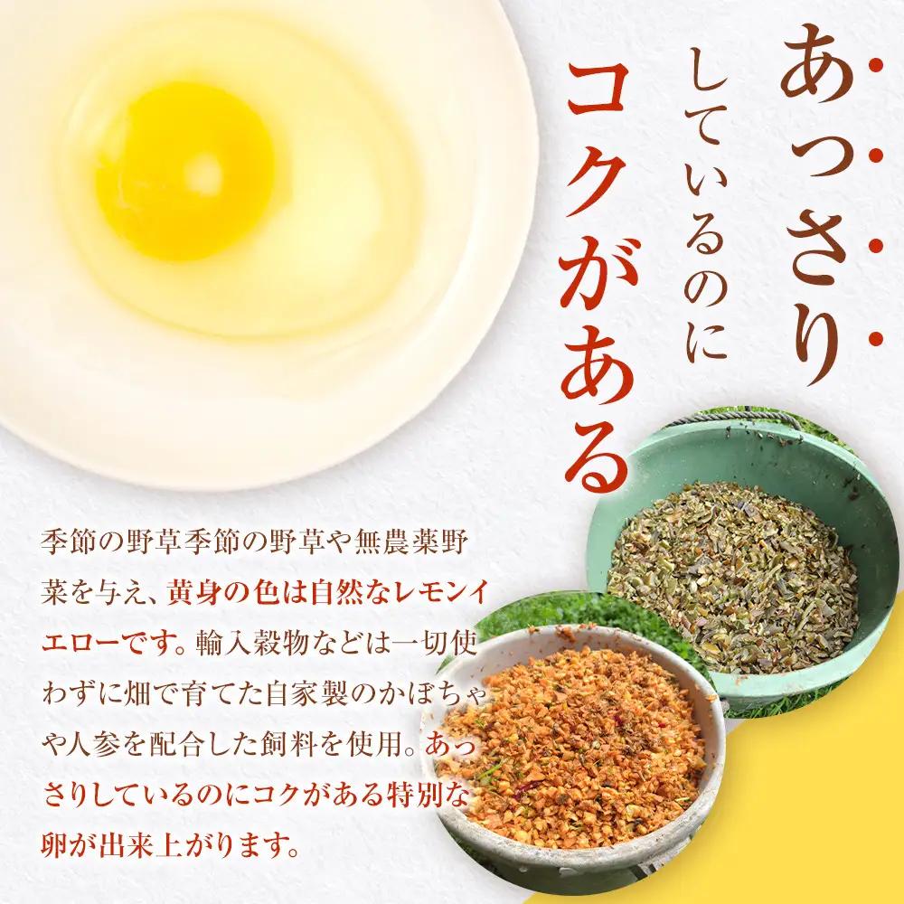 【定期便6か月】国産飼料にこだわった鶏が産む安全安心の 『レモン色たまご』60個（55個＋割れ保証5個） ［Hn11］