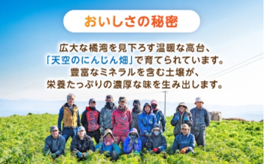 食品 やさい 野菜 サラダ 旬 甘い にんじん ニンジン 人参 キャロット きゃろっと にんじんジュース 人参ジュース