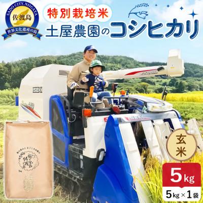 ふるさと納税 佐渡市 【新米】令和8年産 佐渡島産コシヒカリ 玄米5kg 土屋農園 農家直送 特別栽培米