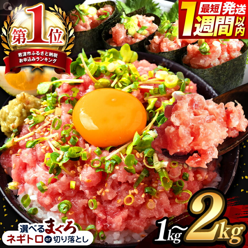 清幸丸水産 ねぎとろ 大人気 1250g(250g×5袋) 味も量も大満足