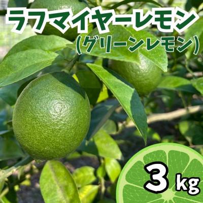 ふるさと納税 上毛町 【10月上旬〜11月上旬発送】上毛町産ラフマイヤーレモン　3kg(グリーンレモン)(上毛町)