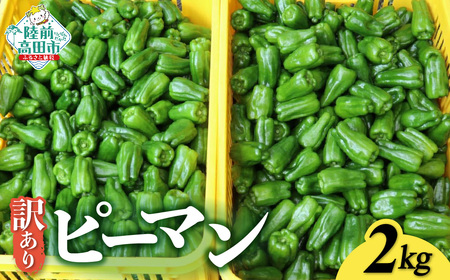 先行予約 訳ありピーマン 2kg 野菜 料理 ピーマン