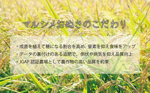 ◆ R5年産 定期便 3ヶ月 ◆JGAP認証【おぬきさん家のゆめぴりか】5kg≪北海道伊達産≫