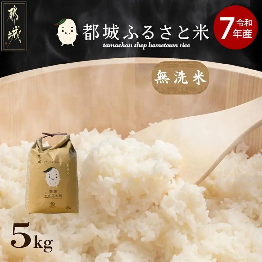 都城ふるさと米(ひのひかり)無洗米5kg_14-9002_(都城市) 都城産 ひのひかり 無洗米 5kg
