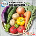 【ふるさと納税】鯖街道からお届けする季節の新鮮野菜セット　8種以上 | 野菜 セット 詰合せ 地産地消 野菜セット 新鮮 旬 旬の野菜 冷蔵 送料無料[A-023004]