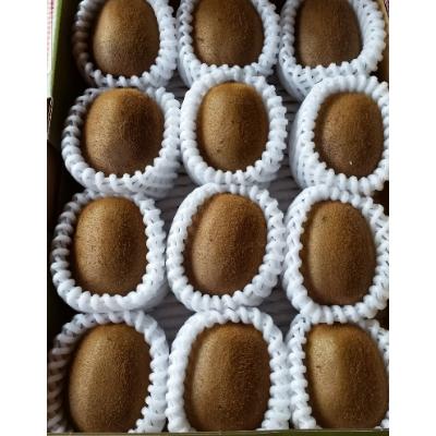 ふるさと納税 山梨市 キウイフルーツ(ヘイワード)約2kg |  | 01