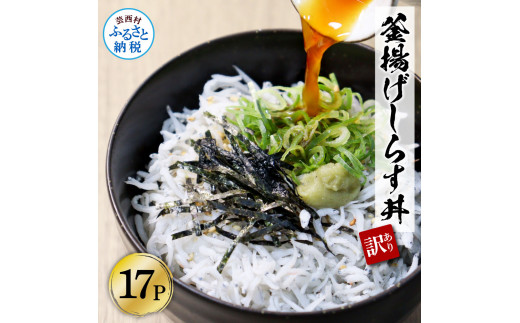 【CF-R7hbk】KGP033-W　訳あり高知県産釜揚げしらす　50g×17パック（小分け）